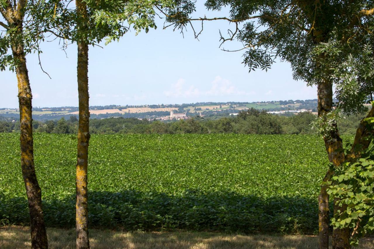 Les Hauts De Condom Appartements Climatises Εξωτερικό φωτογραφία